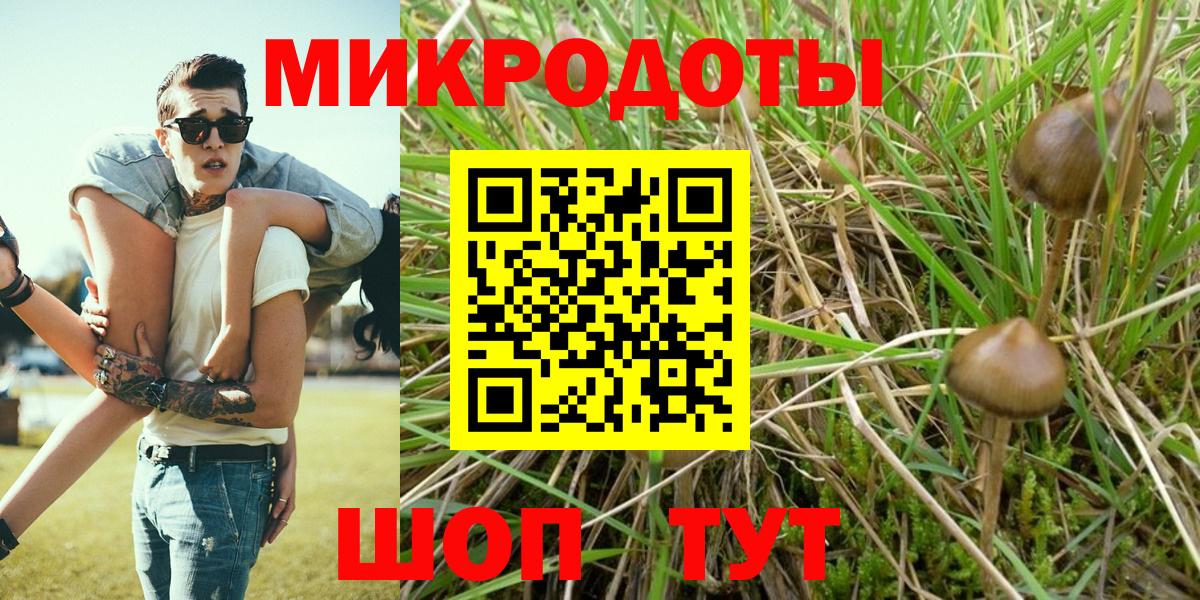 Псилоцибиновые грибы Magic Shrooms Гулькевичи