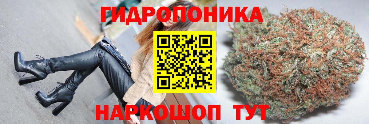 Бошки марихуана тримм  МАРИХУАНА THC 21%  Гулькевичи  Вход с VPN  Каннабис гибрид  Канабис планчик 